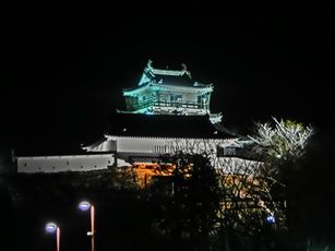 ライトアップされた浜松城